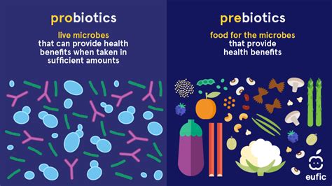 什麼是Probiotics益生菌評價？揭開益生菌的神秘面紗！